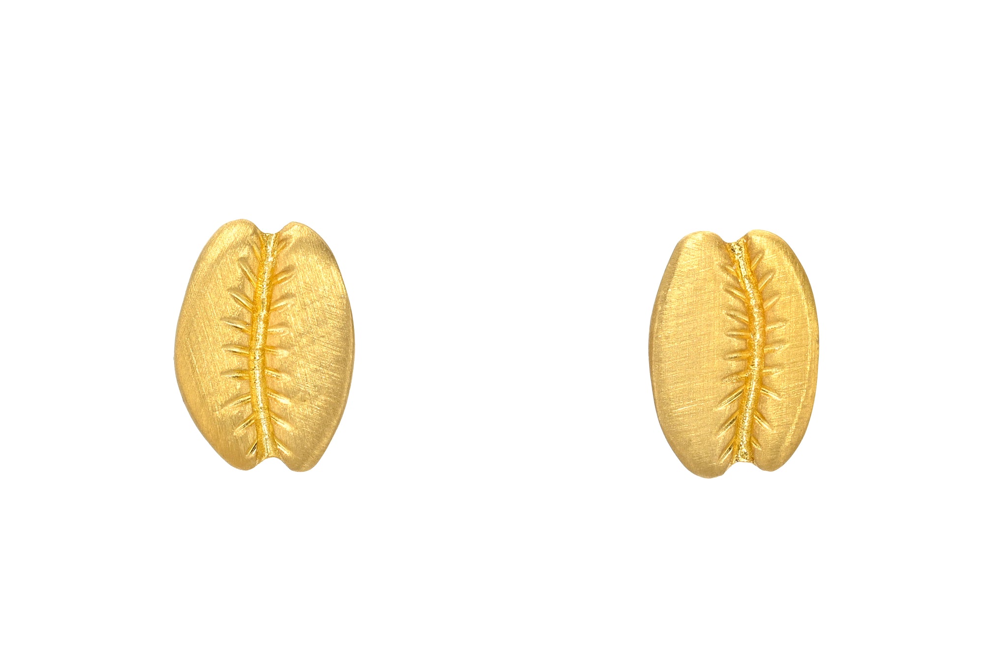 HASANLU COWRIE SHELL STUDS