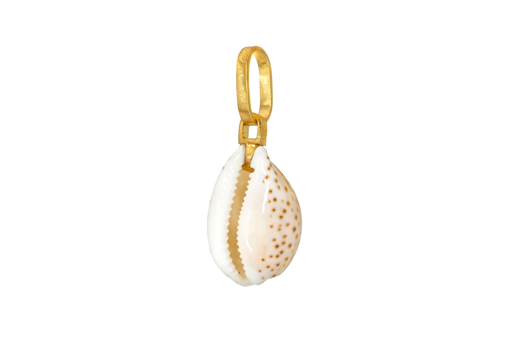 ONE OF A KIND KAUA'I COWRIE SHELL PENDANT