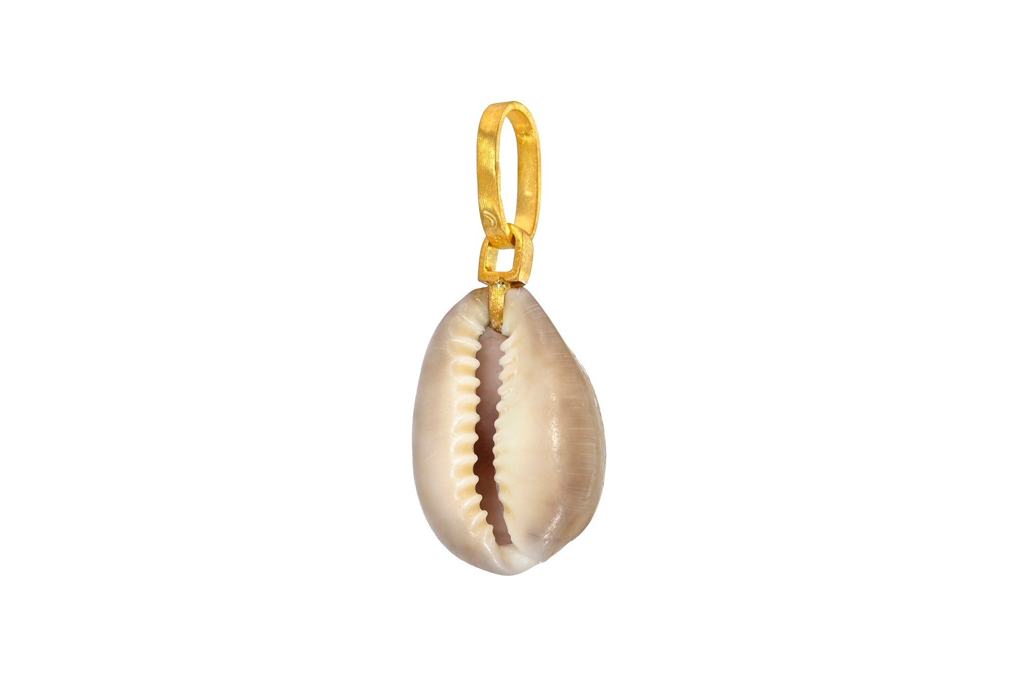 ONE OF A KIND HAWAIIAN COWRIE SHELL PENDANT
