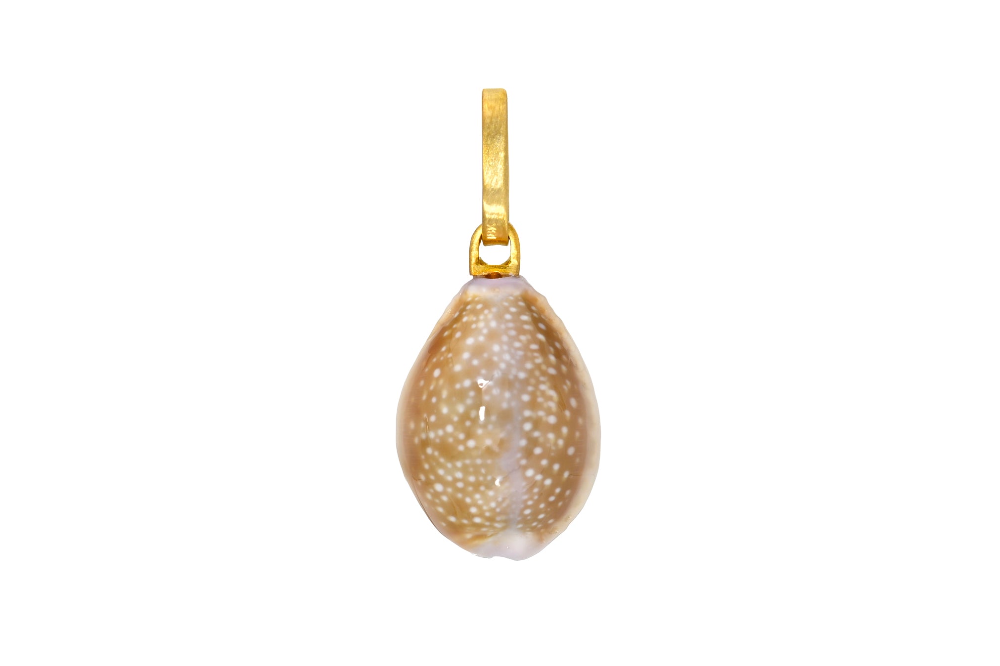 ONE OF A KIND Kaua'i COWRIE SHELL PENDANT