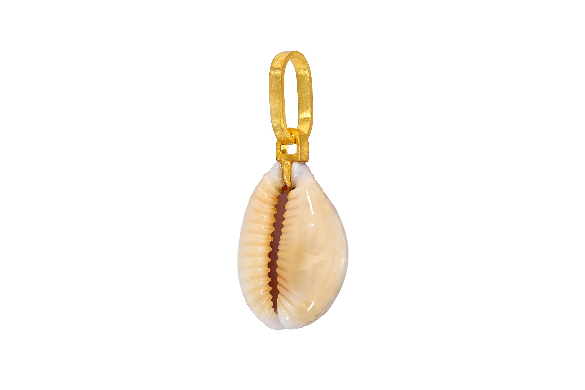ONE OF A KIND Kaua'i COWRIE SHELL PENDANT