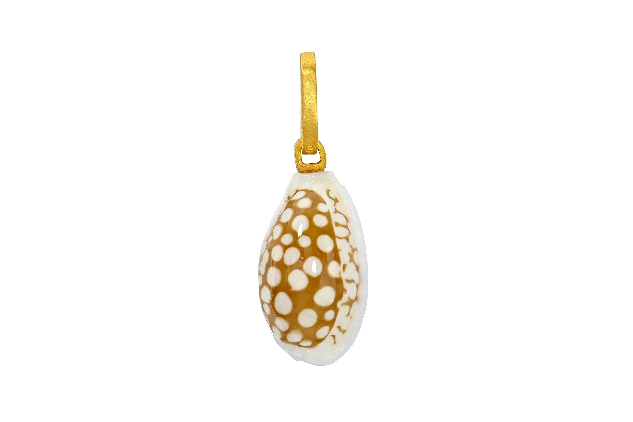 ONE OF A KIND ELONGATED SOLOMON ISLANDS COWRIE SHELL PENDANT