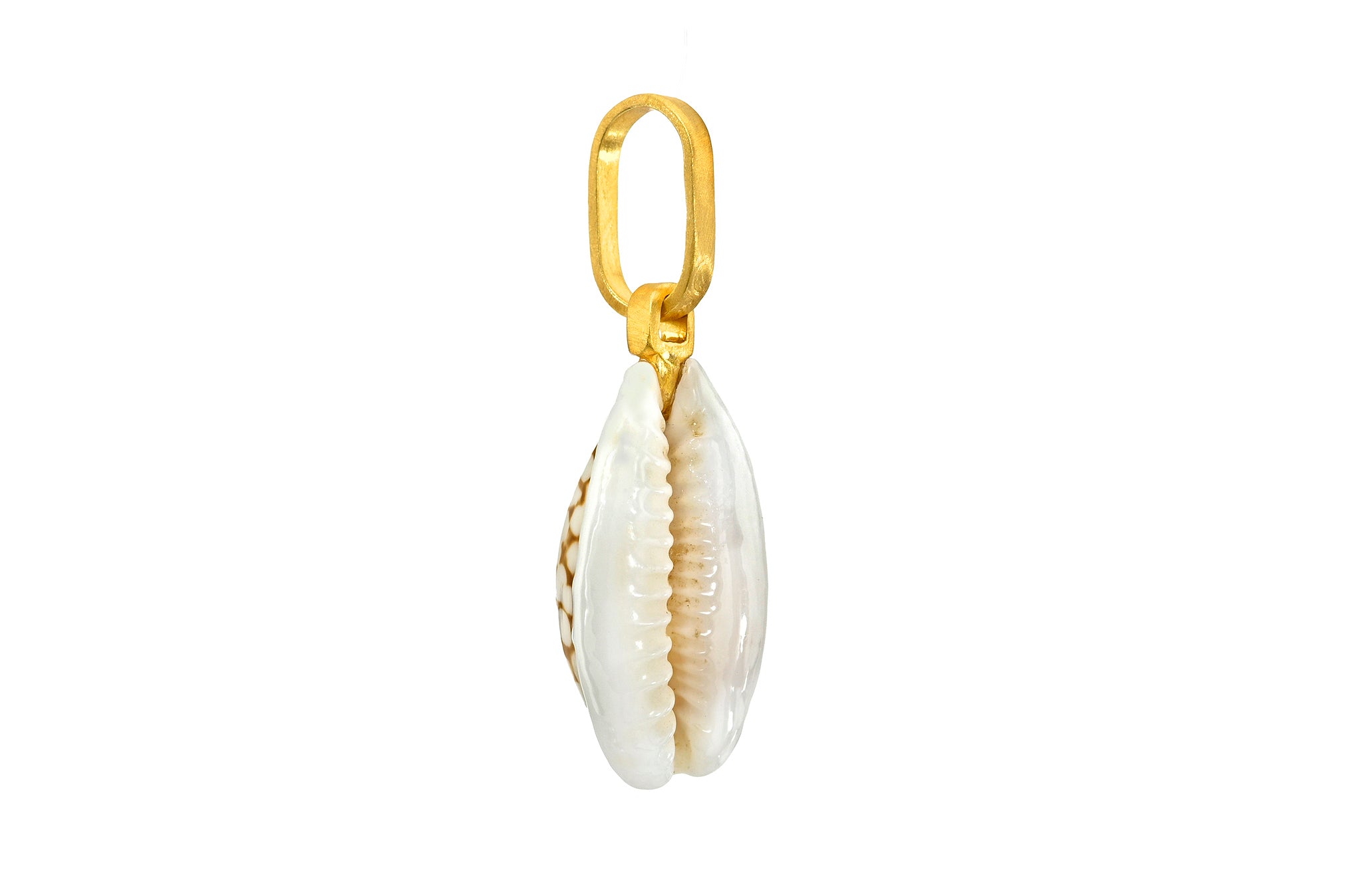 ONE OF A KIND ELONGATED SOLOMON ISLANDS COWRIE SHELL PENDANT