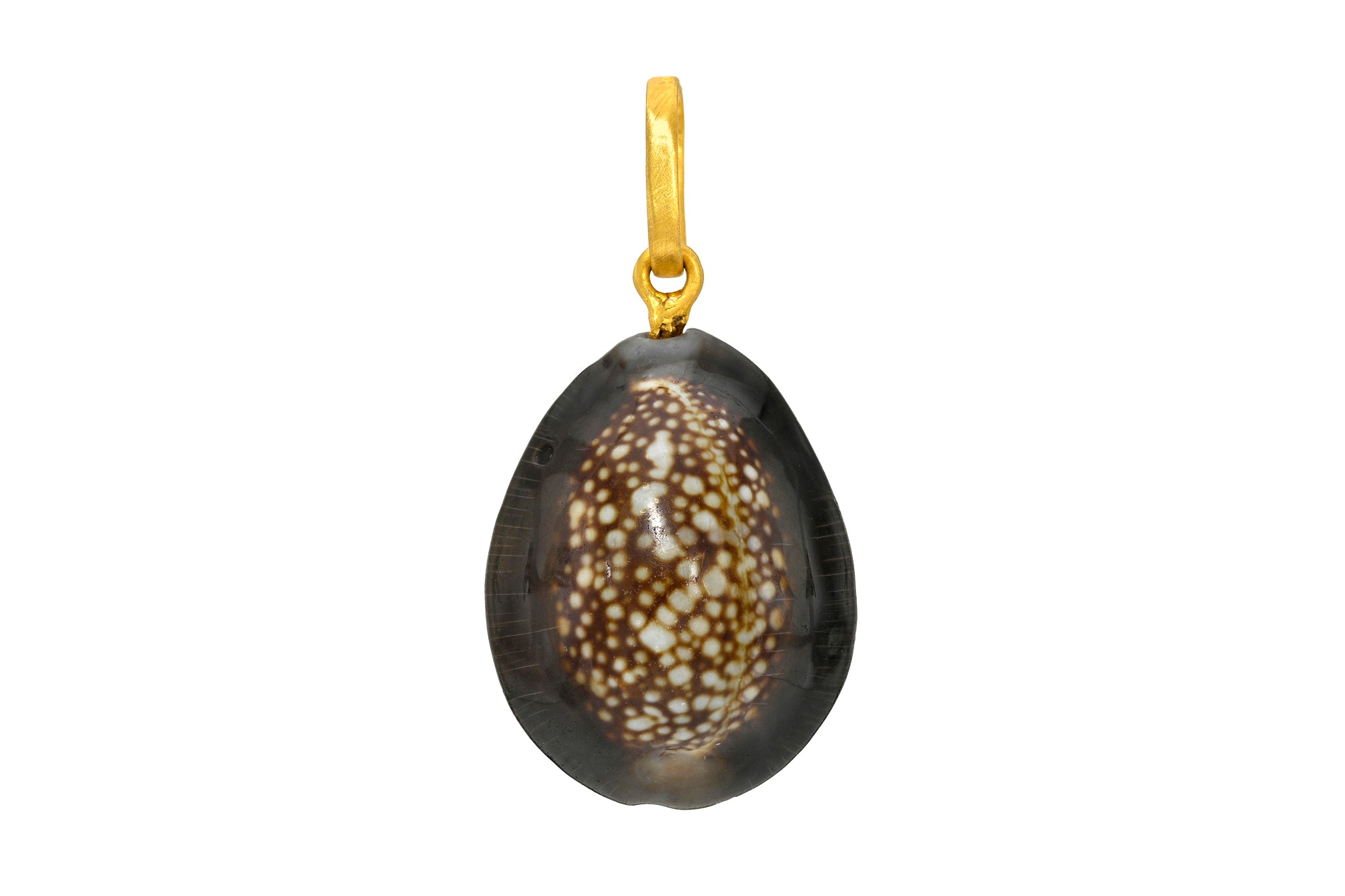 ONE OF A KIND KAUA'I SNAKEHEAD COWRIE SHELL PENDANT