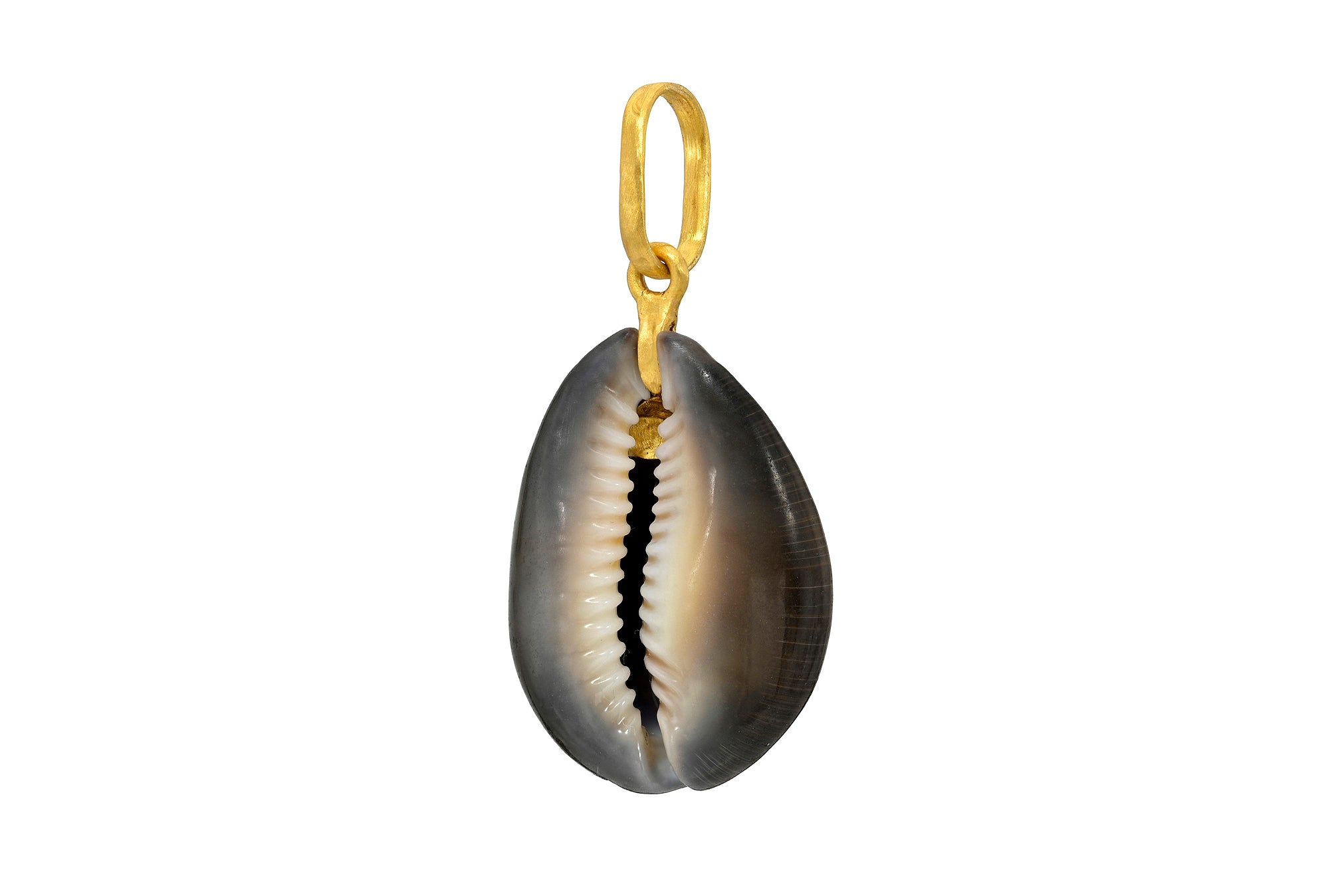 ONE OF A KIND KAUA'I SNAKEHEAD COWRIE SHELL PENDANT